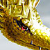 Smaug the Golden