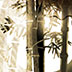 Illustratrion for Through The Veil published by InterGalactic Medicine Show